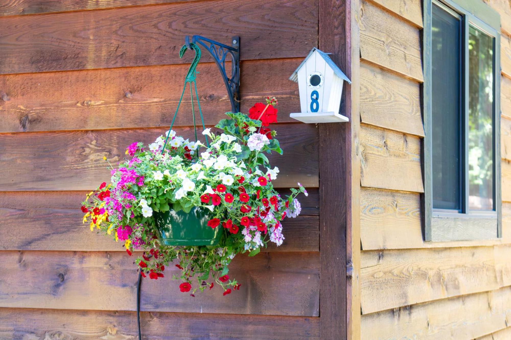 Riverbend Cottage & Rv Resort パークスビル エクステリア 写真