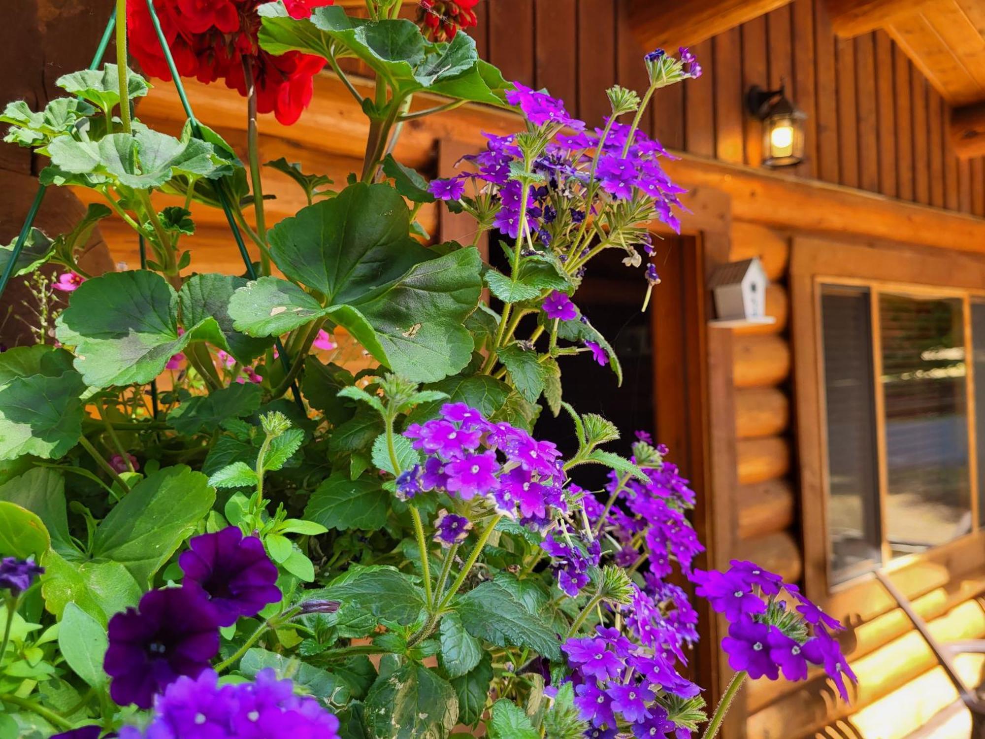 Riverbend Cottage & Rv Resort パークスビル エクステリア 写真
